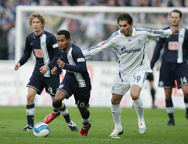 例如布冯在 例如布冯在