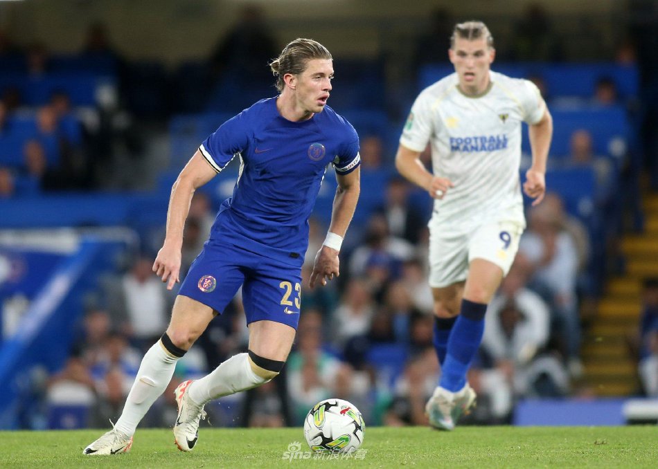 定性训练 定性训练