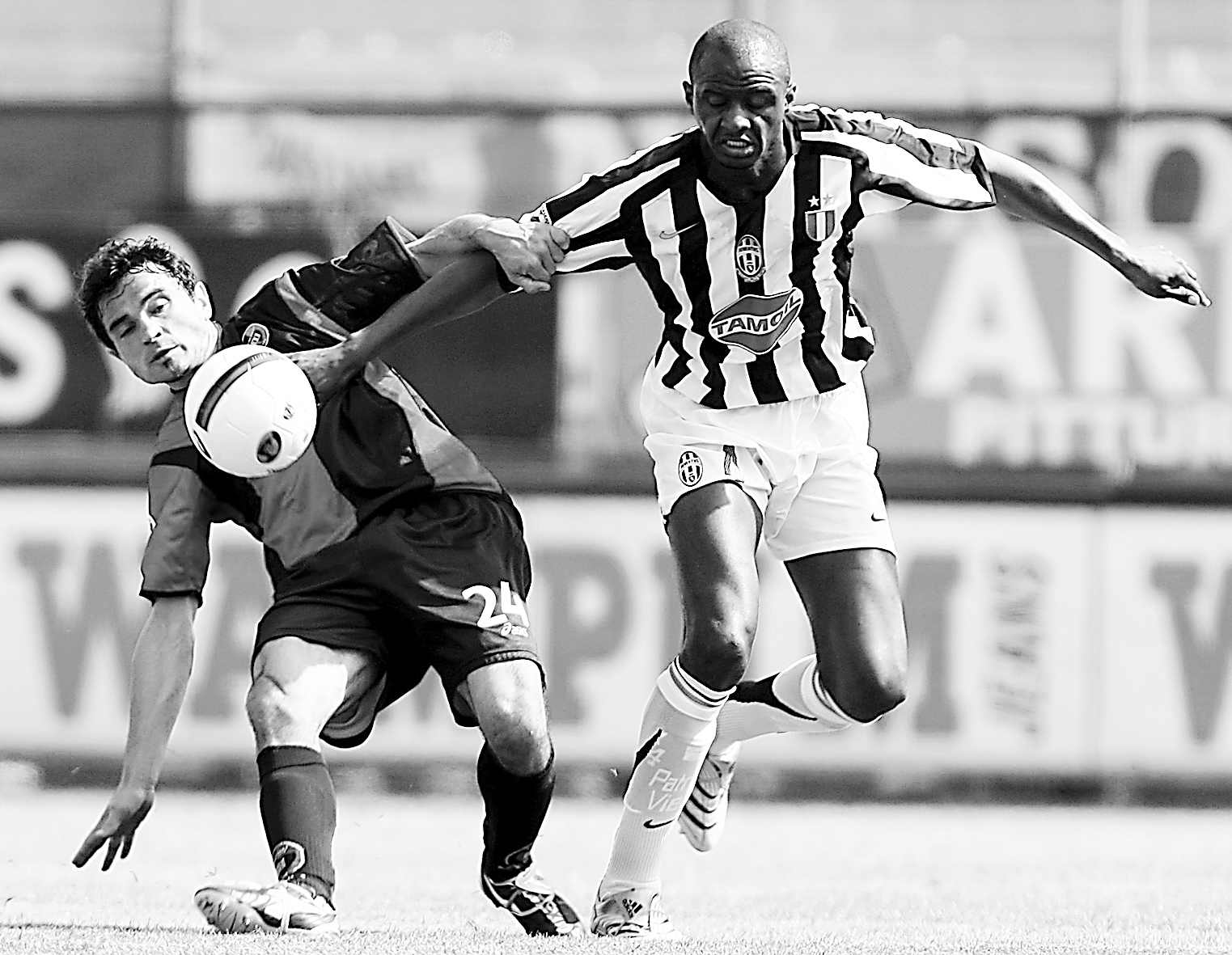 都能贡献亮 都能贡献亮